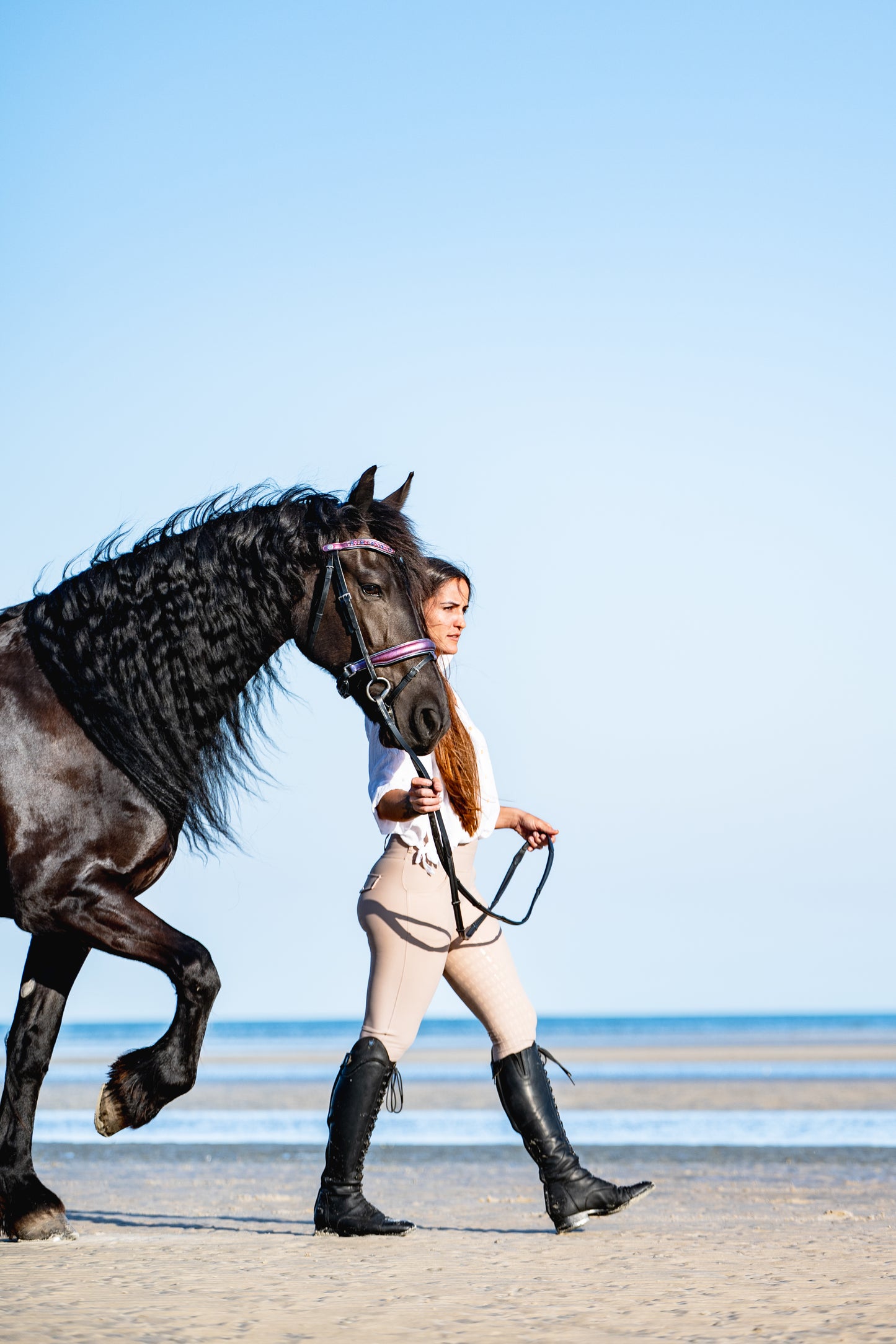 PINK SKY Limited Collection Bridle