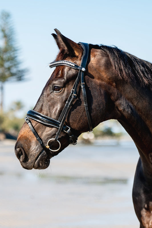 BLACK PATENT LEATHER + SILVER Signature Bridle