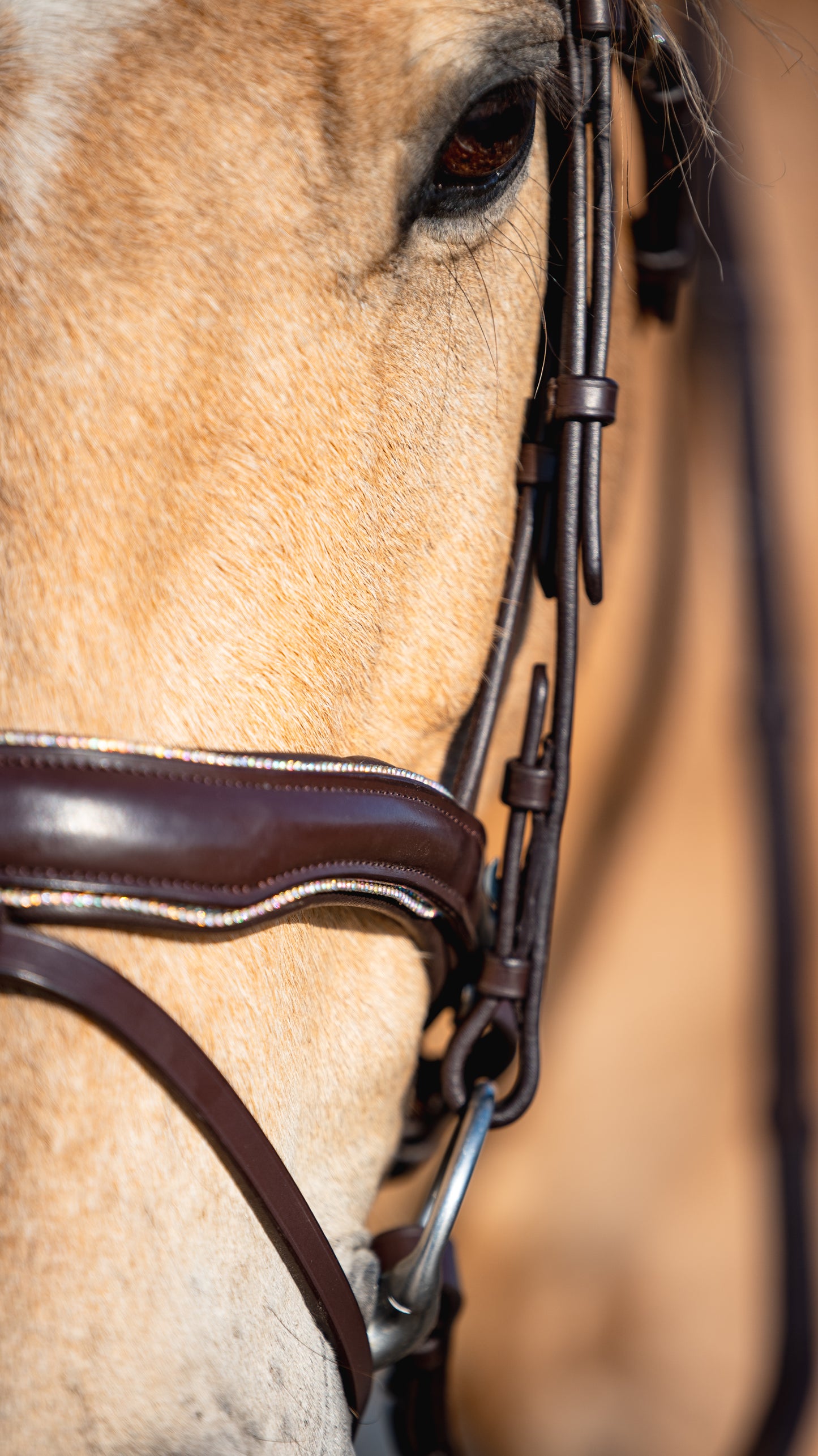 AURORA BOREALIS Crystal Bridle - Brown Leather
