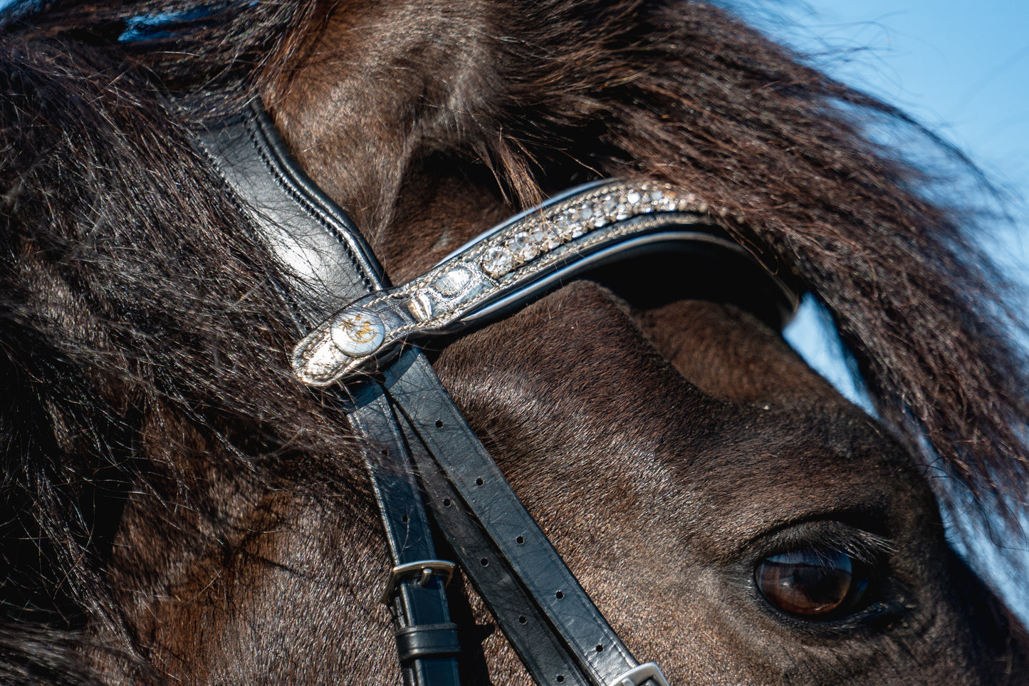 PLATINUM CROC Limited Collection Bridle