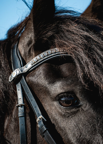 PLATINUM CROC Limited Collection Bridle