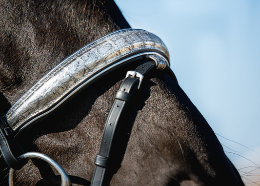 PLATINUM CROC Limited Collection Bridle
