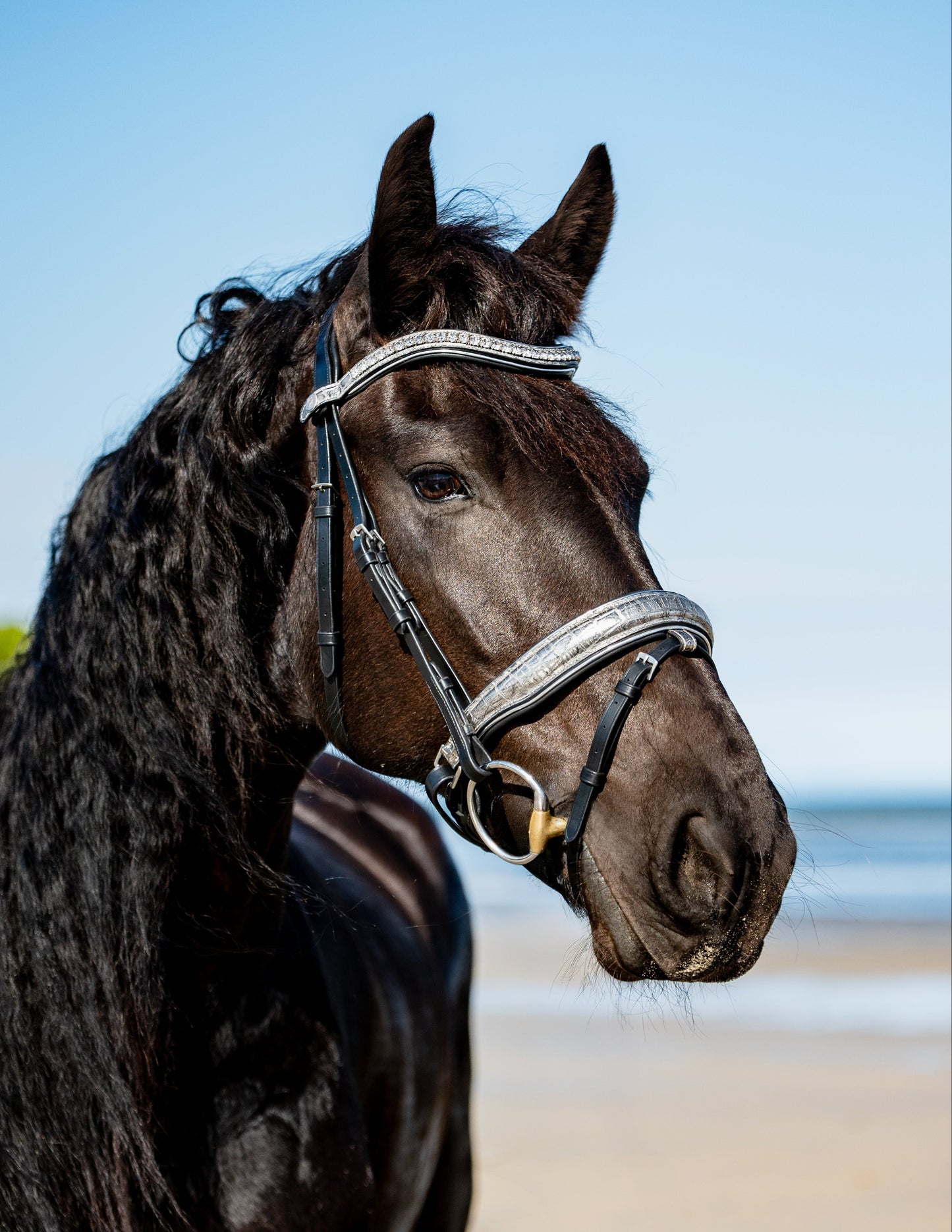 PLATINUM CROC Limited Collection Bridle