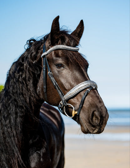PLATINUM CROC Limited Collection Bridle