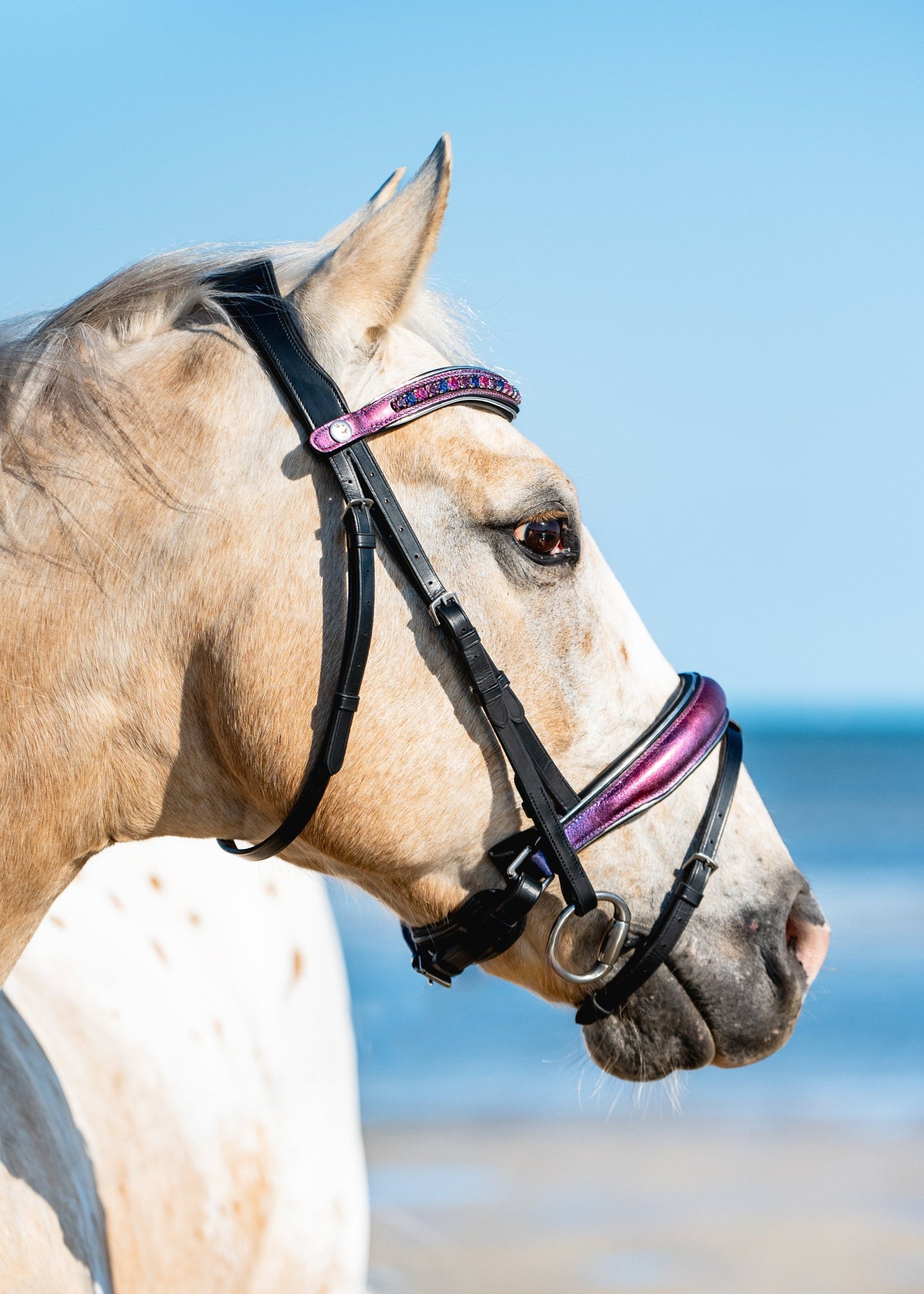 PINK SKY Limited Collection Bridle