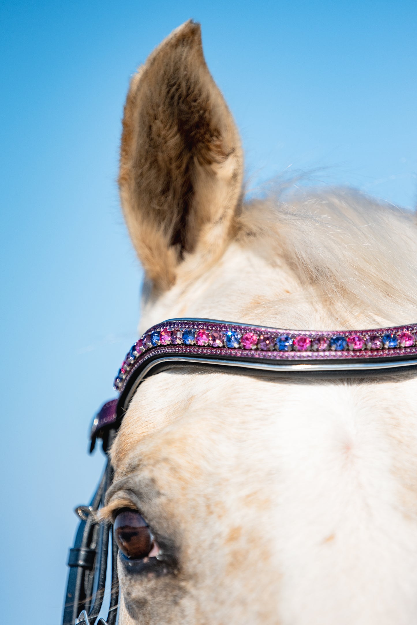 PINK SKY Limited Collection Bridle