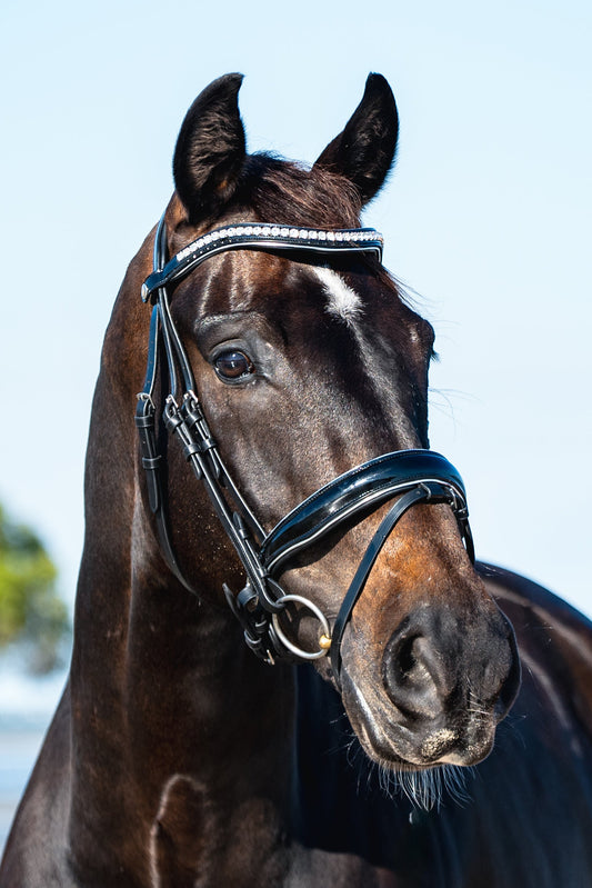 BLACK PATENT LEATHER + SILVER Signature Bridle