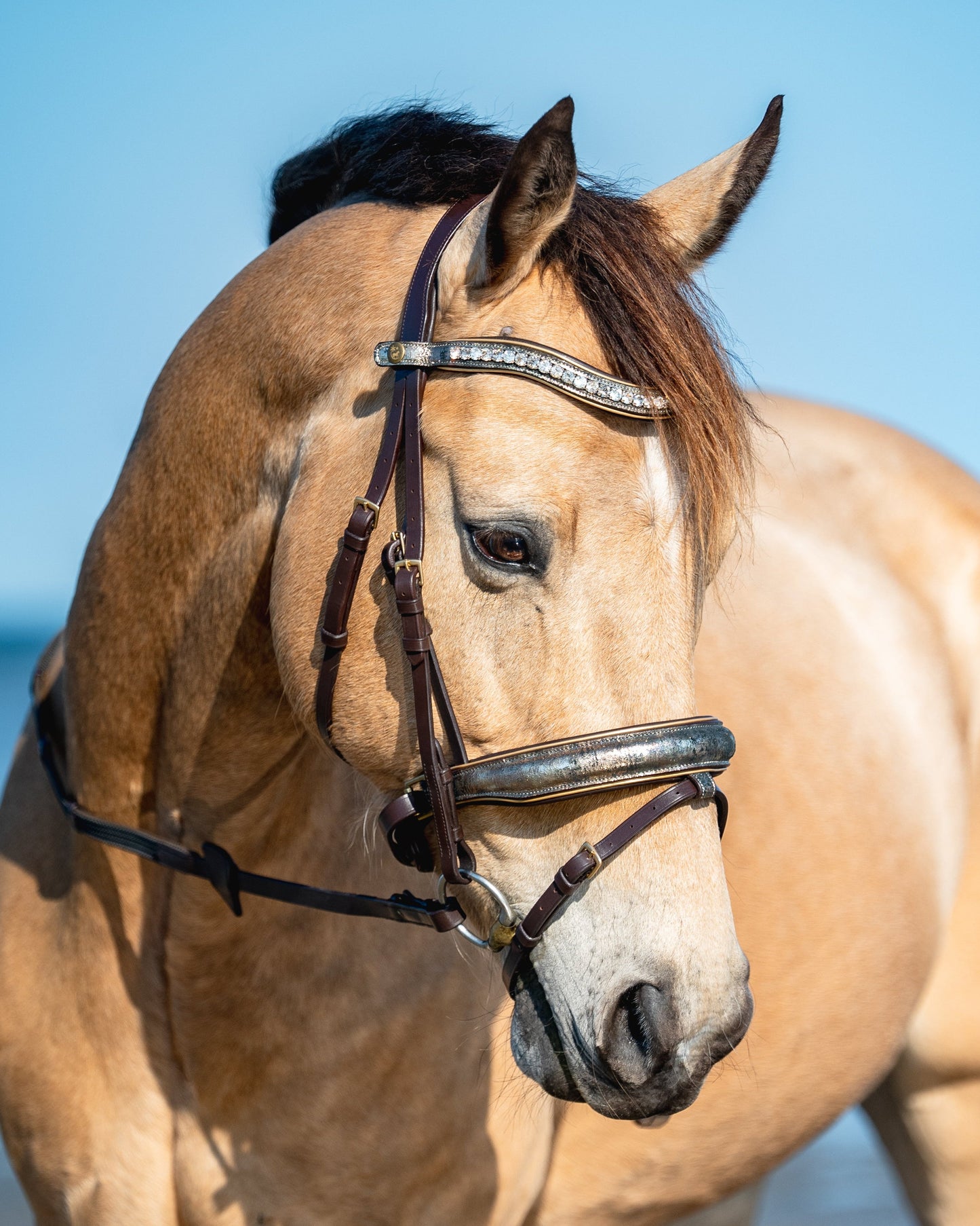 ANCIENT TREASURE Limited Collection Bridle - Black or Brown leather