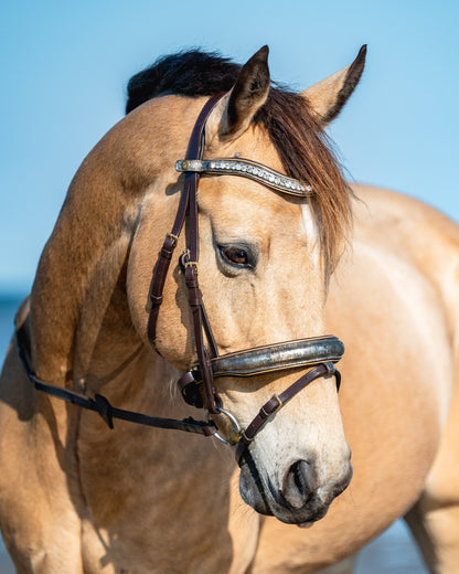 ANCIENT TREASURE Limited Collection Bridle - Black or Brown leather