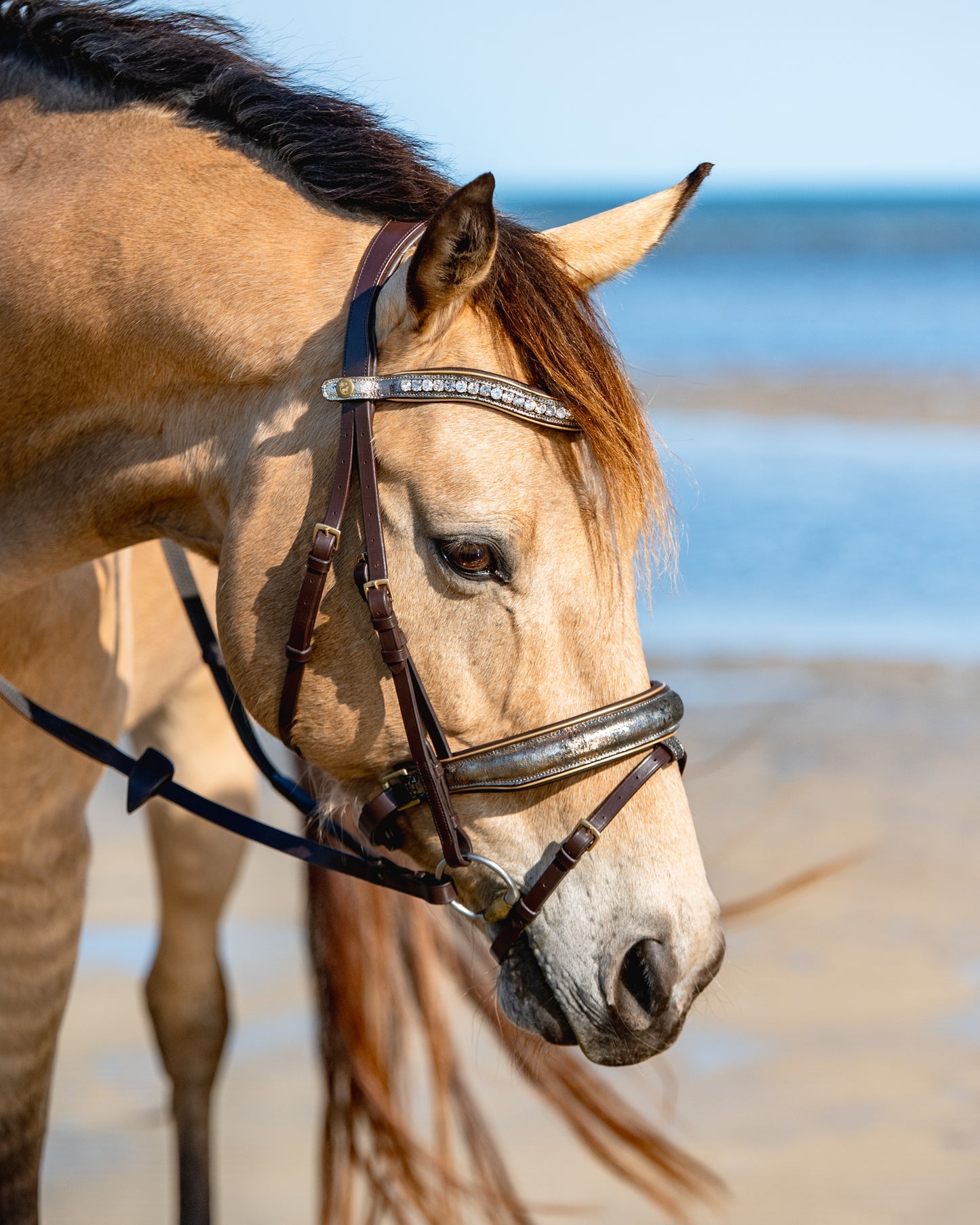 ANCIENT TREASURE Limited Collection Bridle - Black or Brown leather