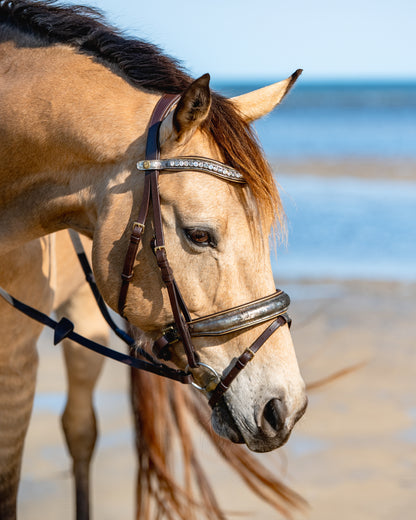 ANCIENT TREASURE Limited Collection Bridle - Black or Brown leather