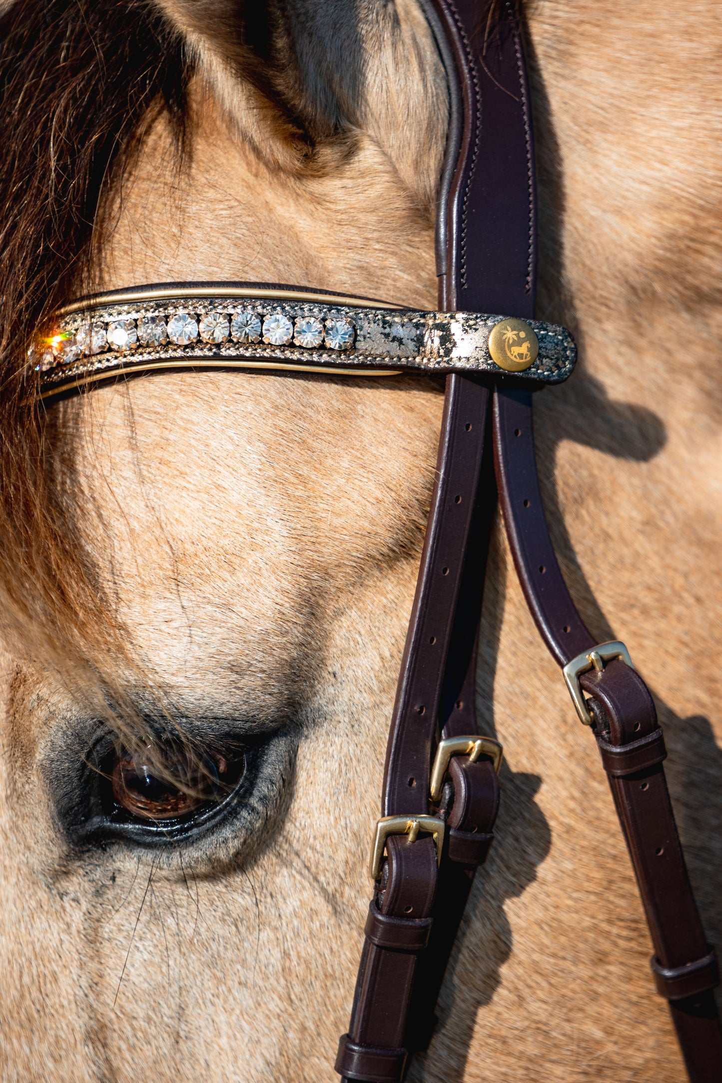 ANCIENT TREASURE Limited Collection Bridle - Black or Brown leather