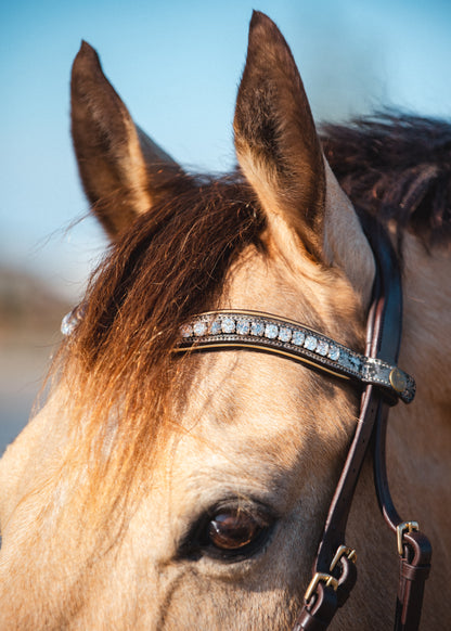 ANCIENT TREASURE Limited Collection Bridle - Black or Brown leather