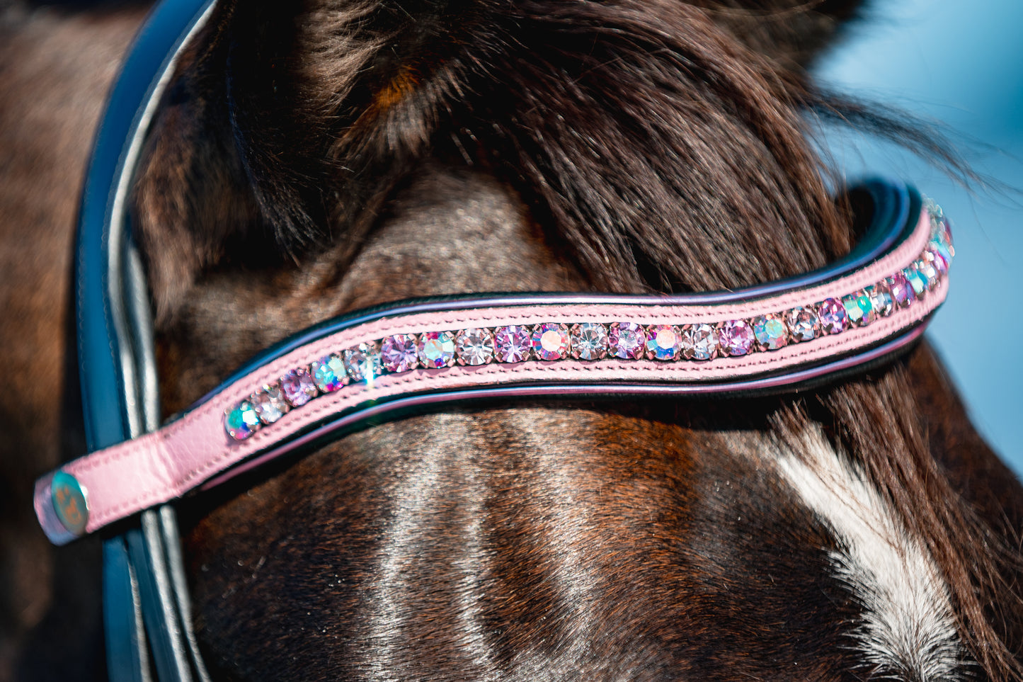 FLAMINGO Padded Browband