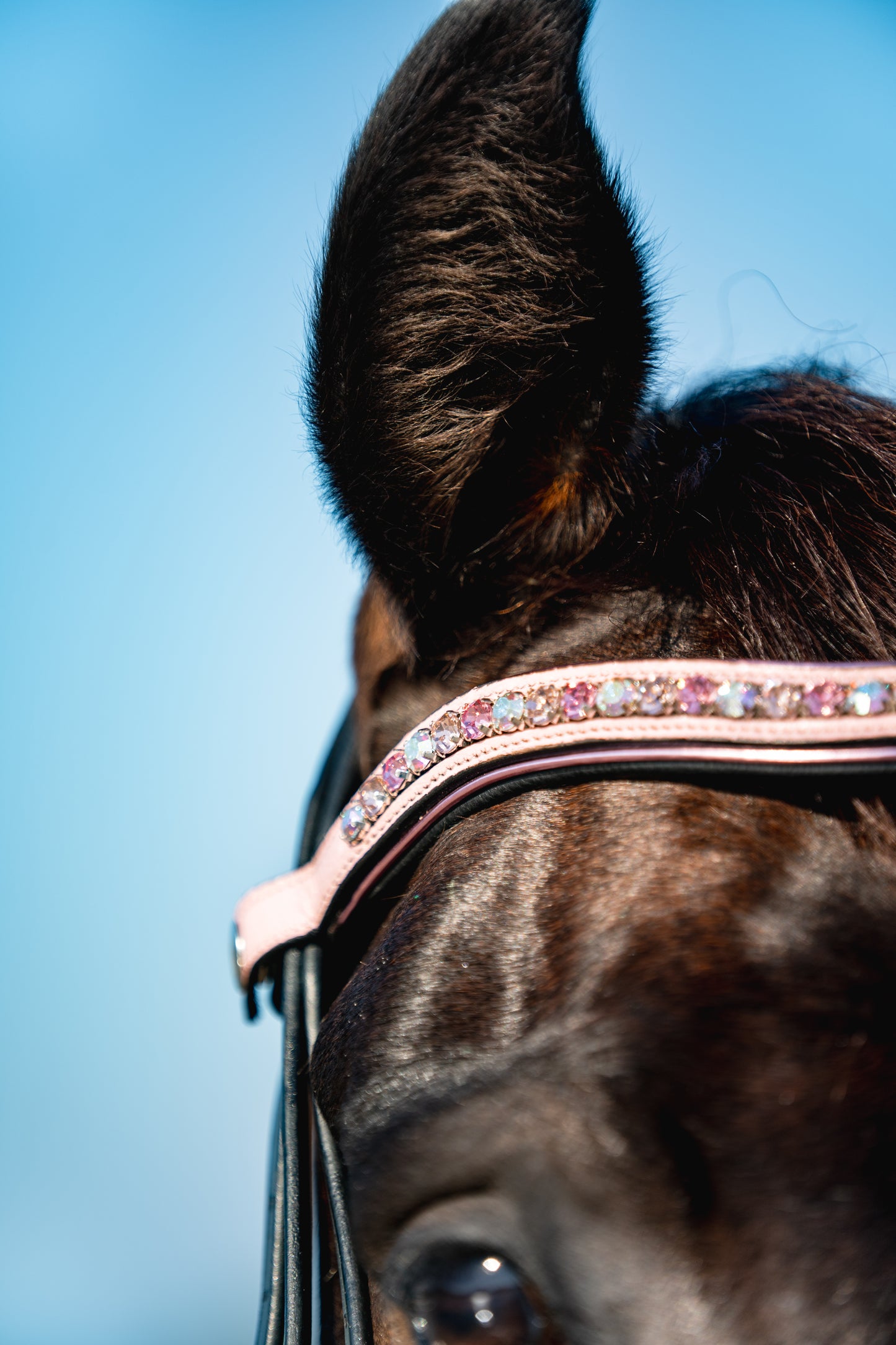 FLAMINGO Padded Browband