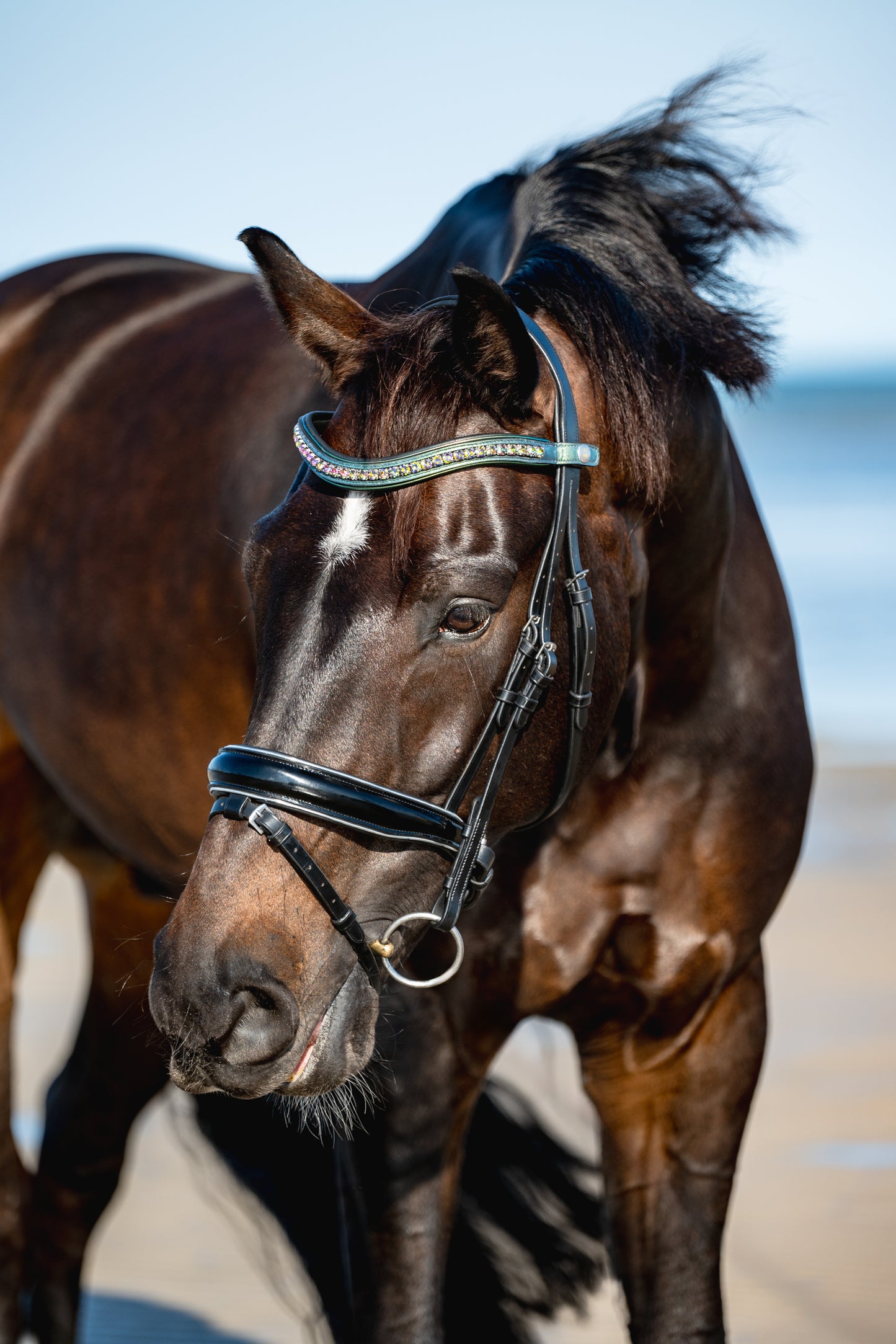 THE PALMS Padded Browband