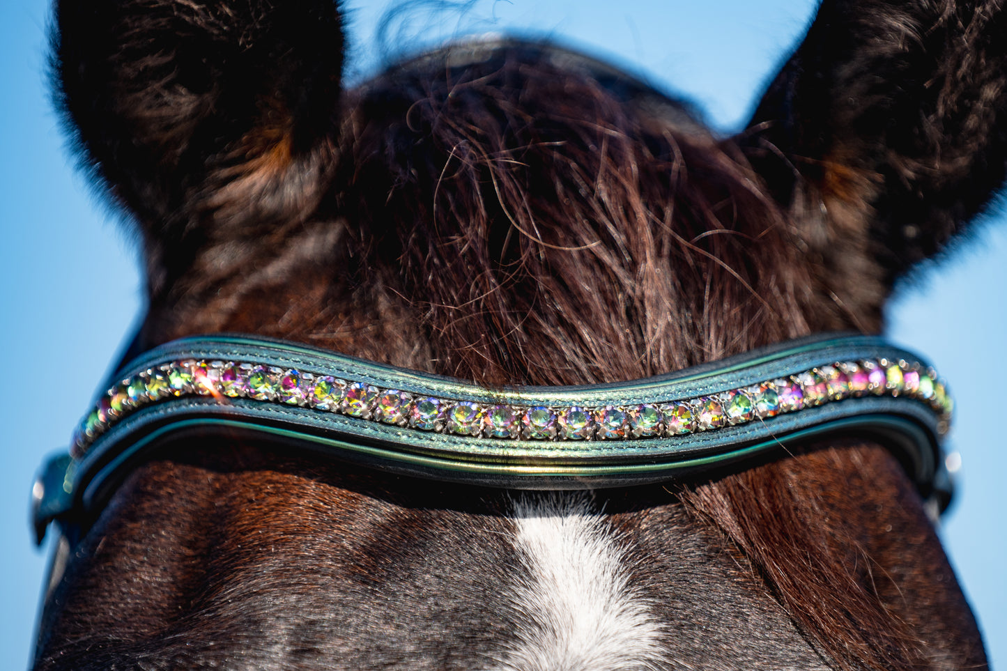 THE PALMS Padded Browband