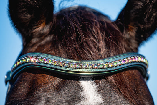 THE PALMS Padded Browband