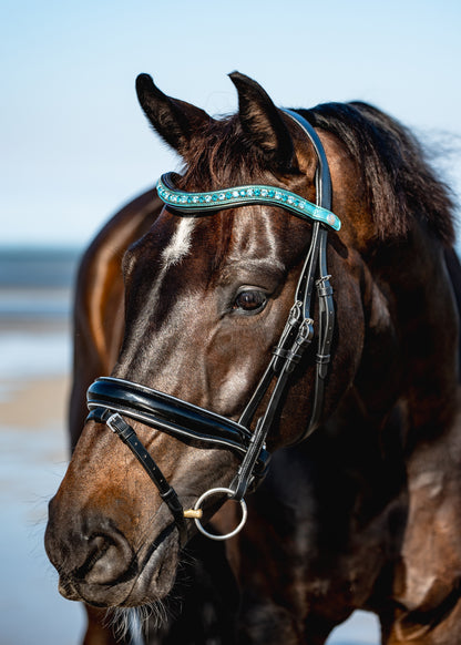 BLUE LAGOON Padded Browband