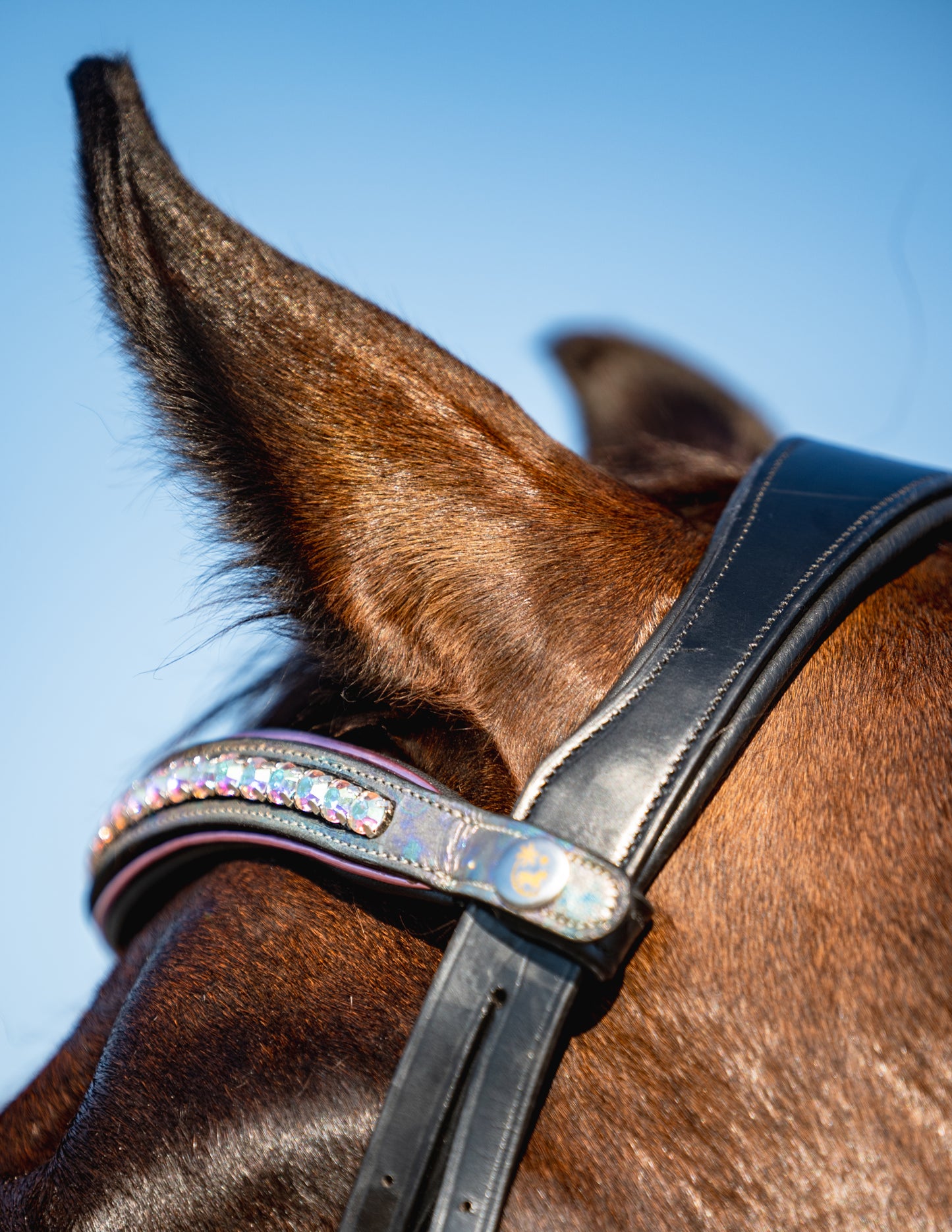 MAJESTIC Padded Browband