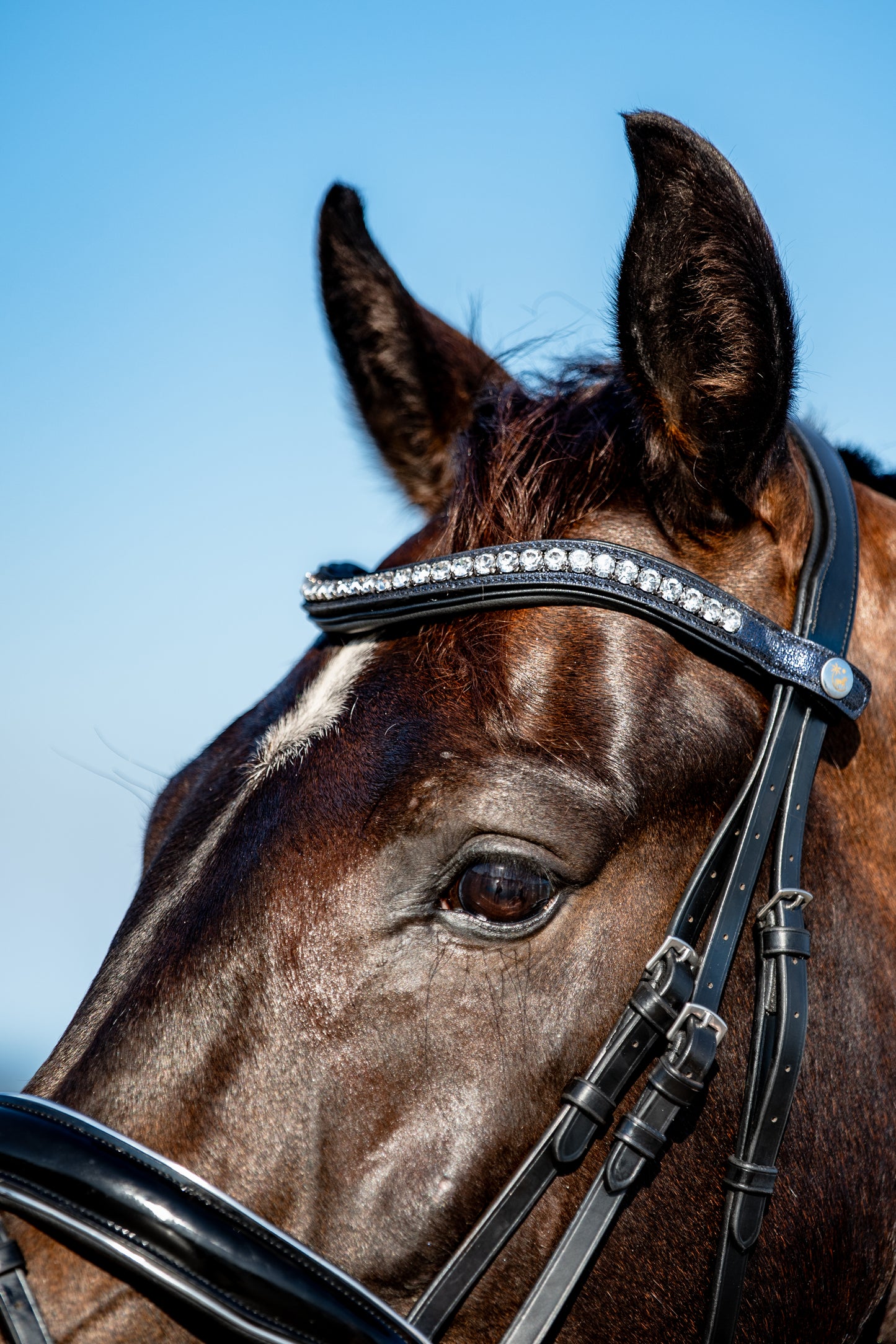 NIGHT SKY Padded Browband