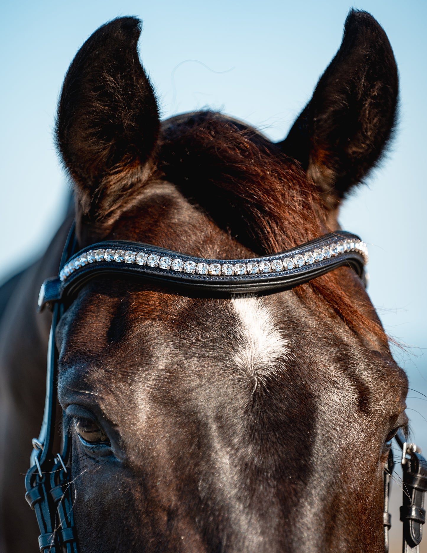NIGHT SKY Padded Browband
