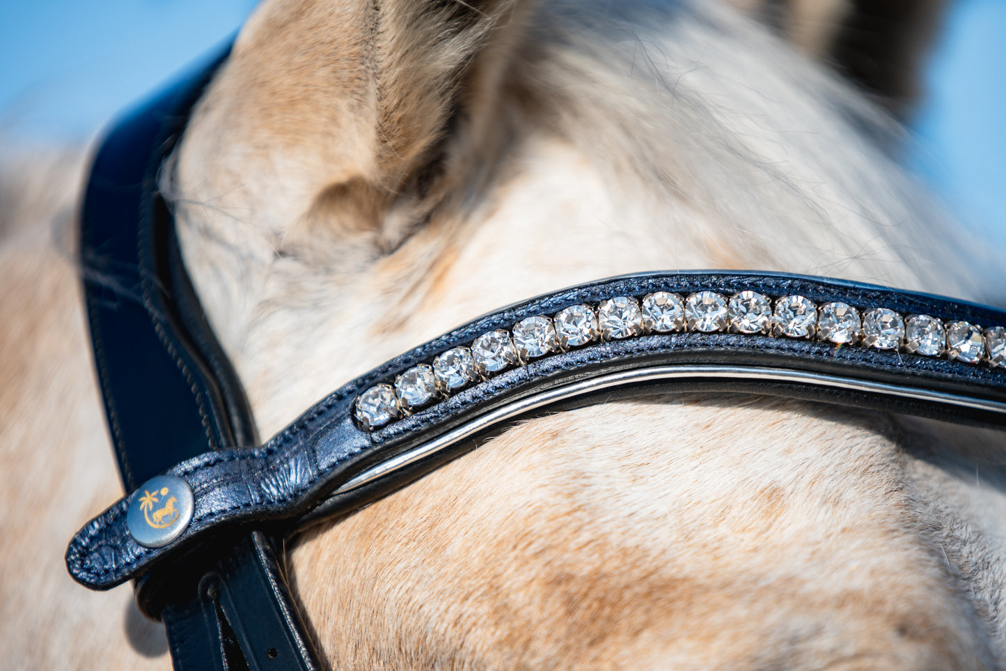 NAVY CROC Limited Collection Bridle - Black or Brown Leather