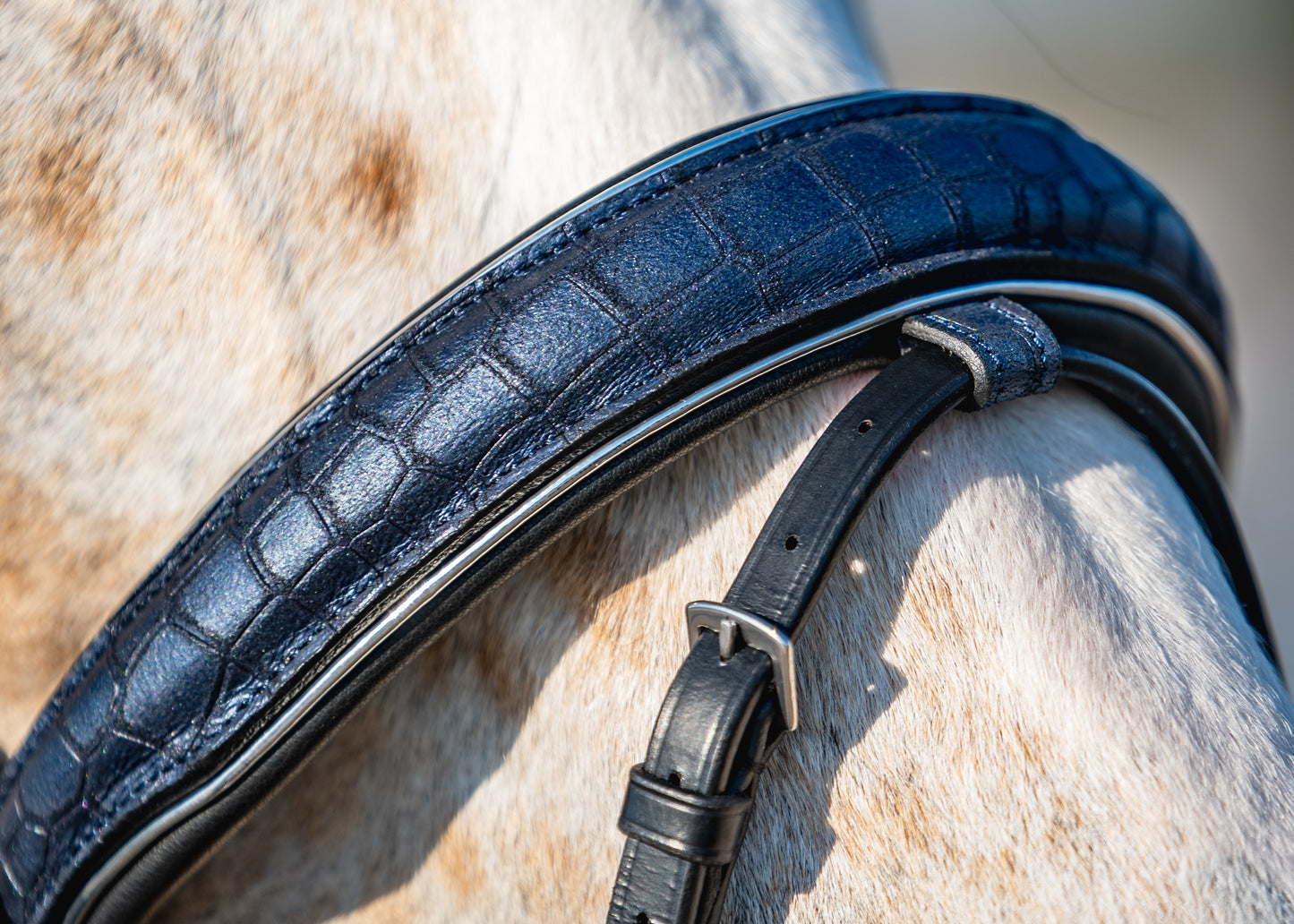 NAVY CROC Limited Collection Bridle - Black or Brown Leather