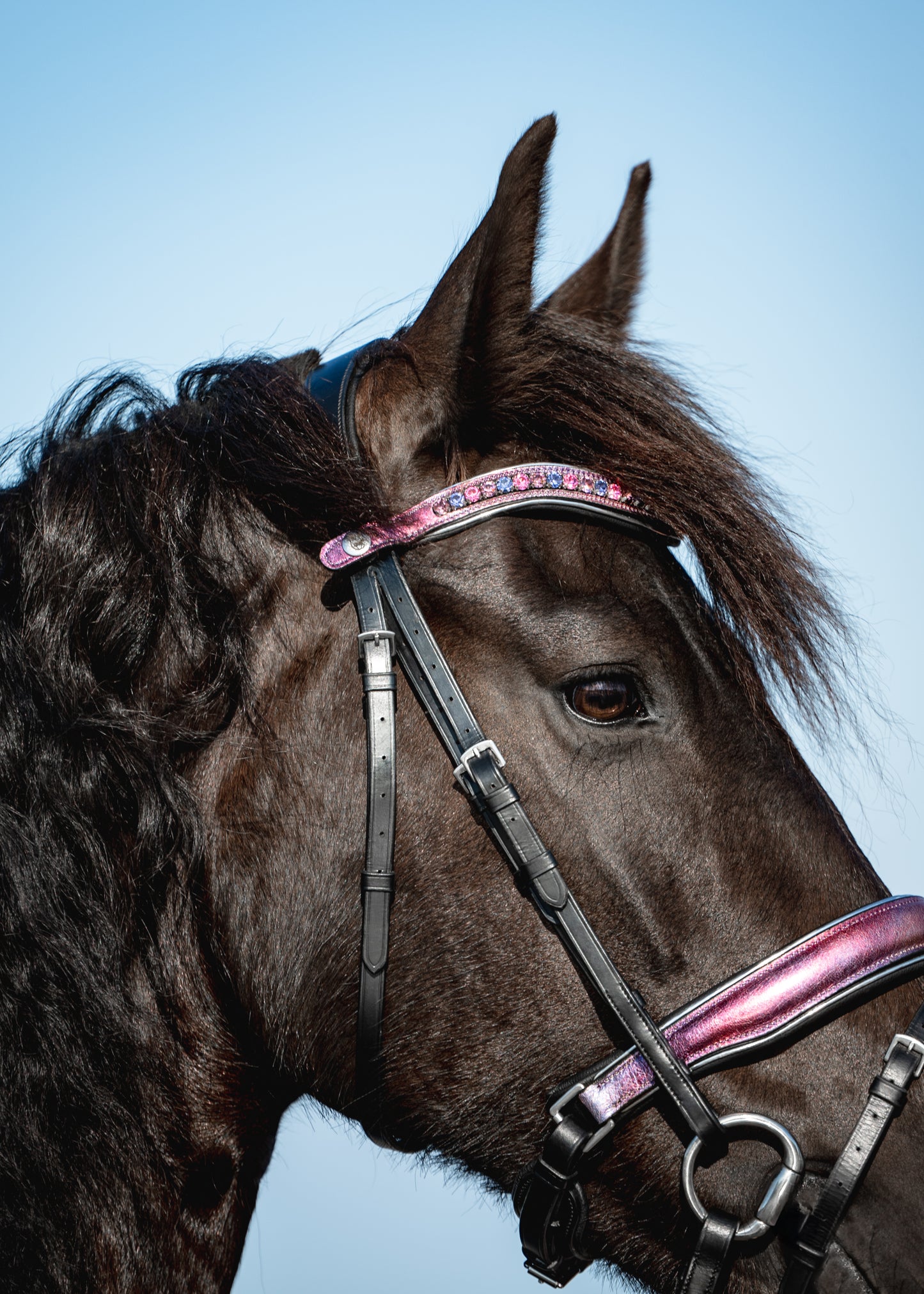 PINK SKY Limited Collection Bridle