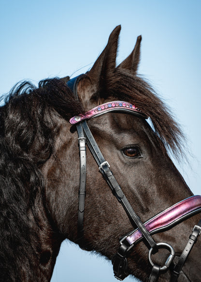 PINK SKY Limited Collection Bridle