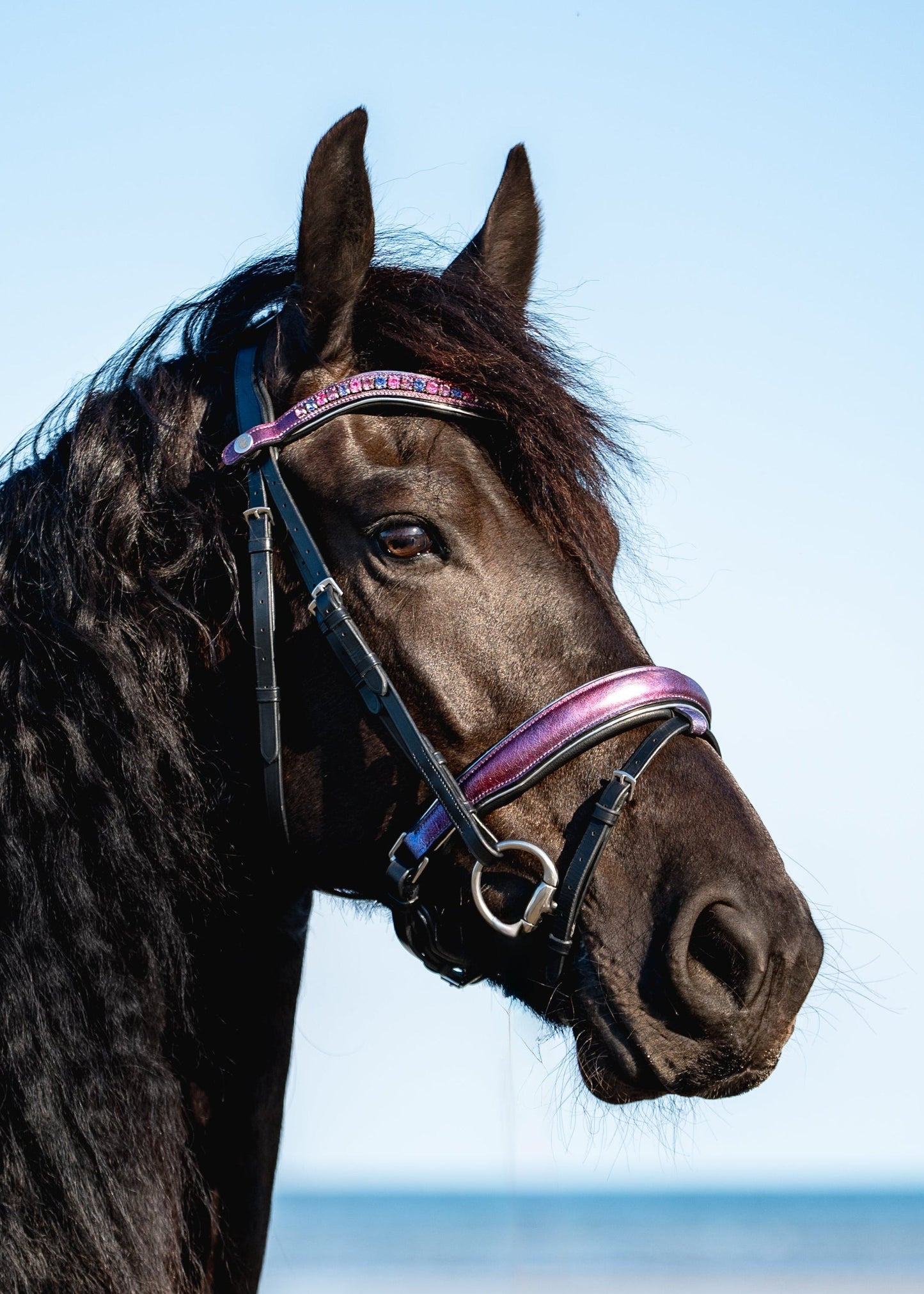 PINK SKY Limited Collection Bridle
