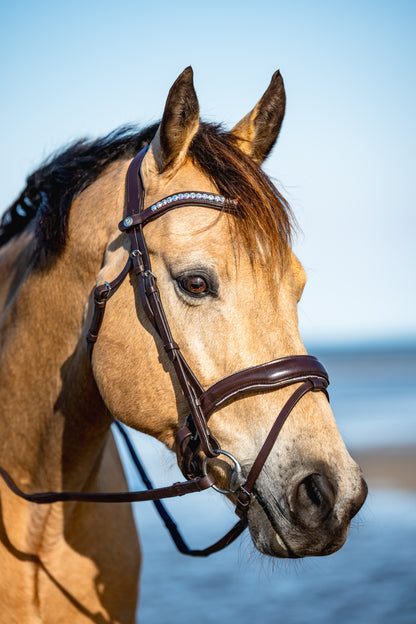 AURORA BOREALIS Crystal Bridle - Brown Leather