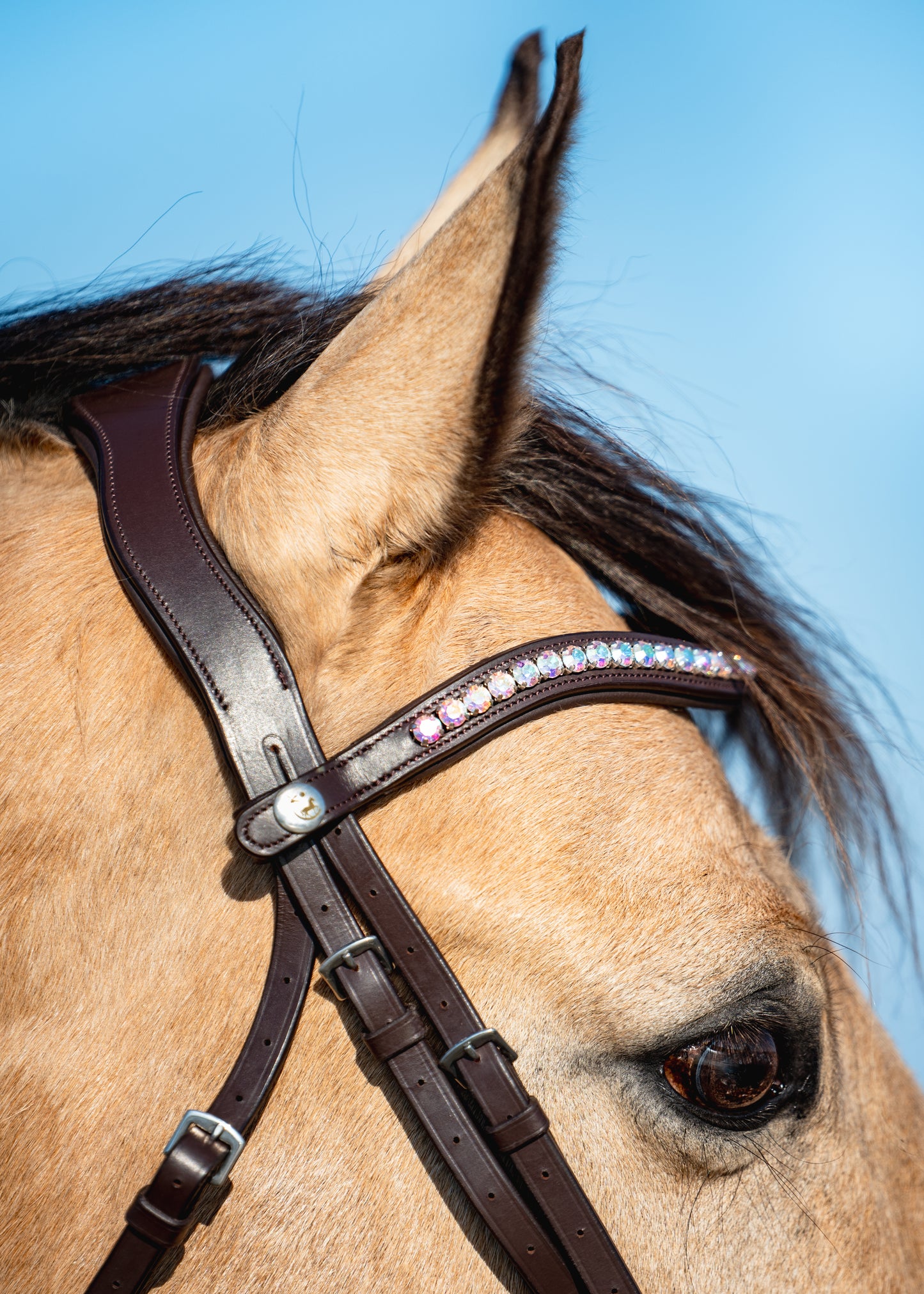 AURORA BOREALIS Crystal Bridle - Brown Leather