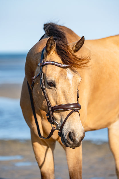 AURORA BOREALIS Crystal Bridle - Brown Leather