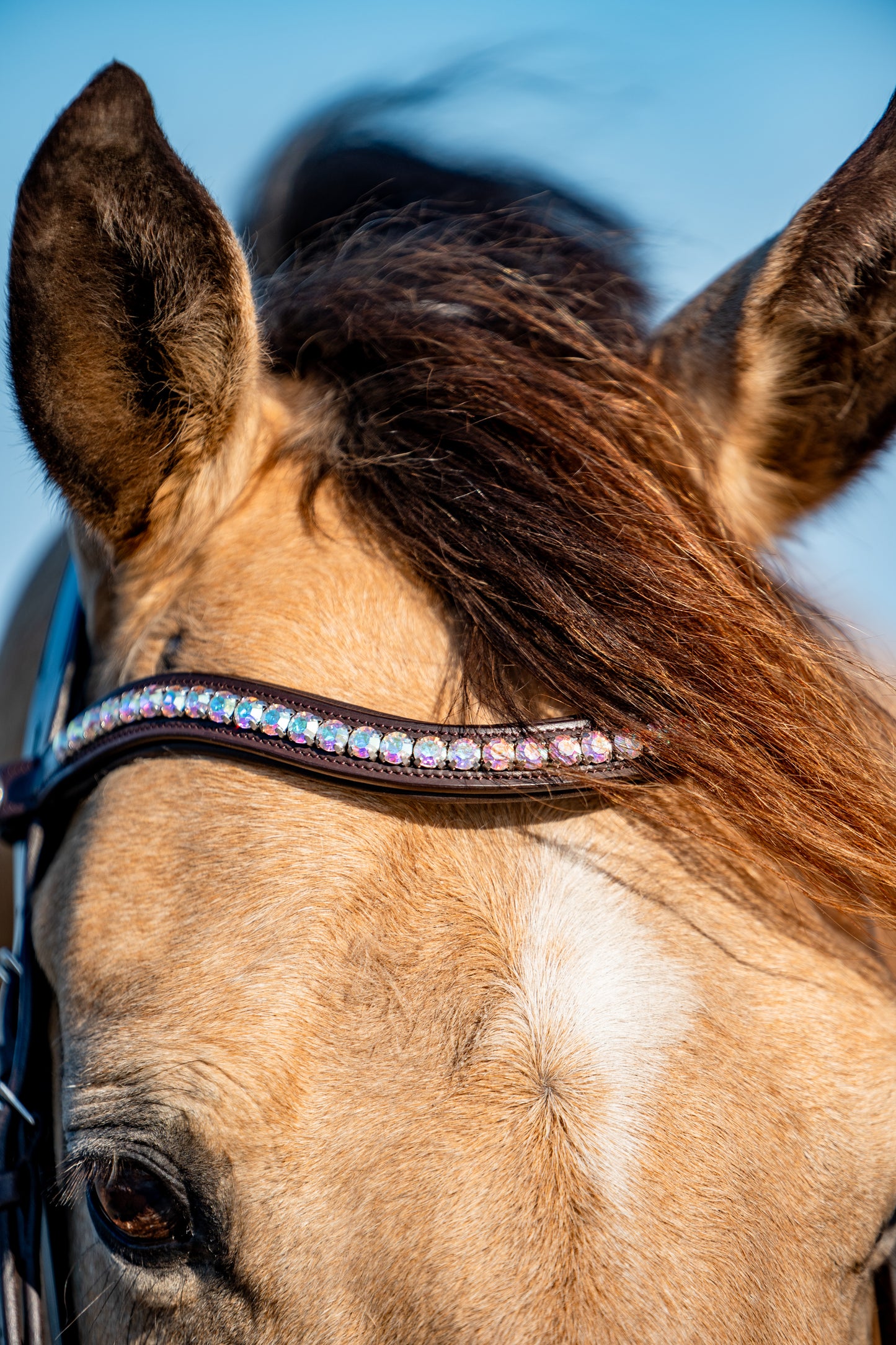 AURORA BOREALIS Crystal Bridle - Brown Leather
