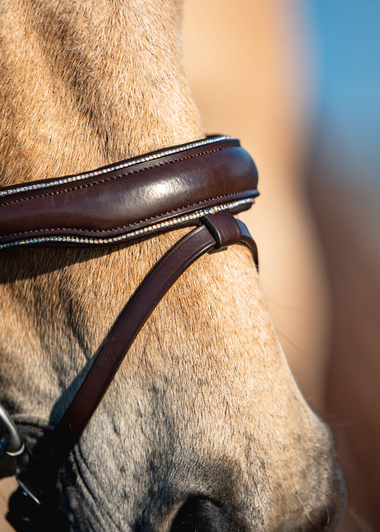 AURORA BOREALIS Crystal Bridle - Brown Leather