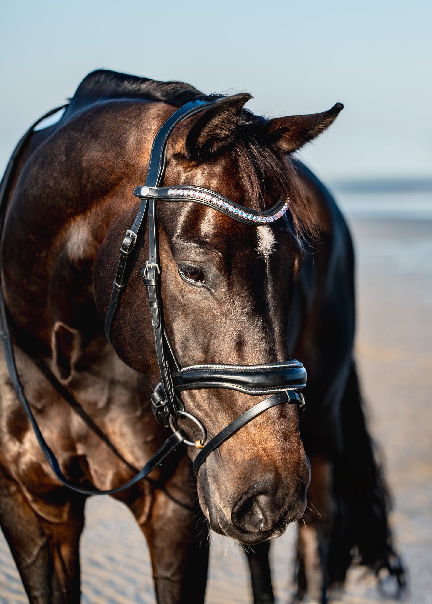 AURORA BOREALIS Crystal Bridle - BLACK LEATHER