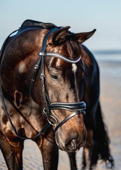 AURORA BOREALIS Crystal Bridle - BLACK LEATHER
