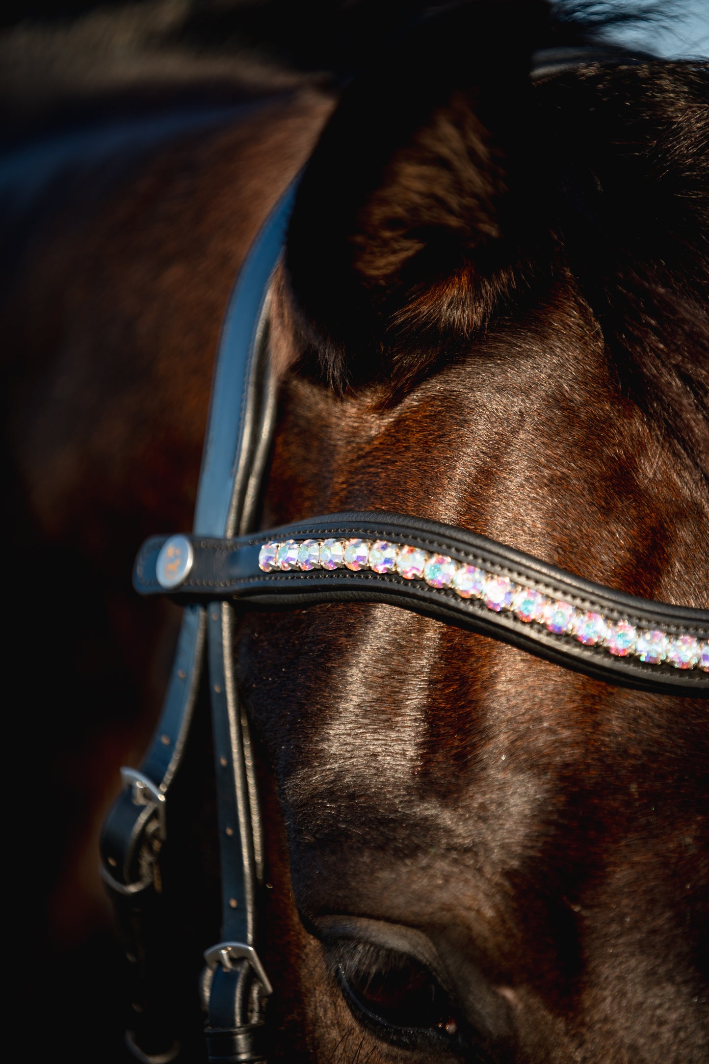 AURORA BOREALIS Crystal Bridle - BLACK LEATHER