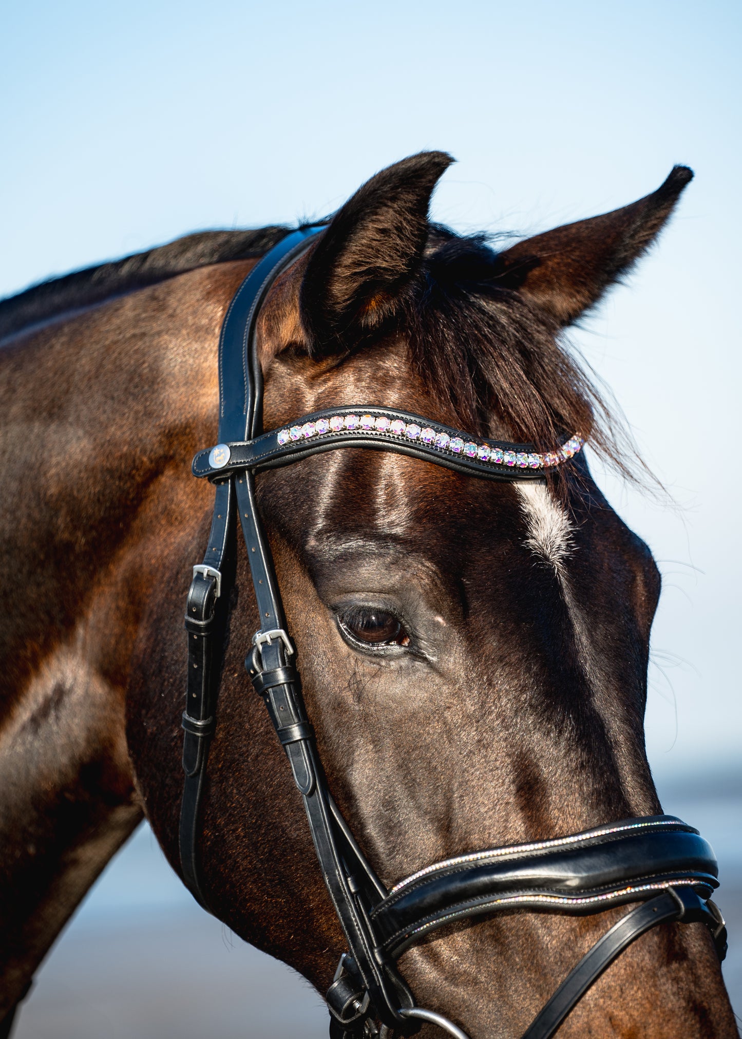 AURORA BOREALIS Crystal Bridle - BLACK LEATHER