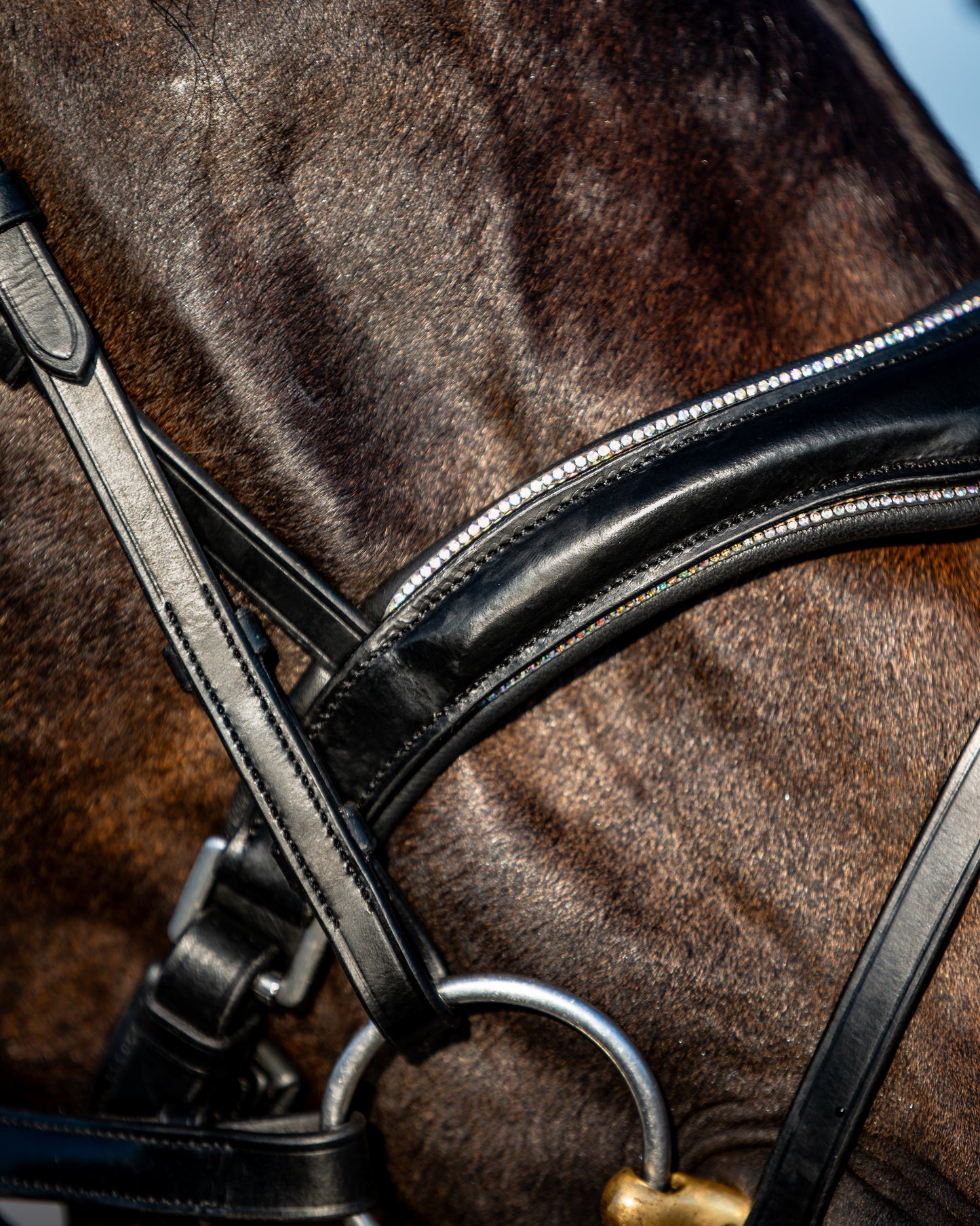 AURORA BOREALIS Crystal Bridle - BLACK LEATHER