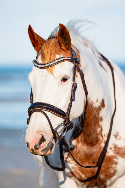BROWN PATENT LEATHER + GOLD Signature Bridle