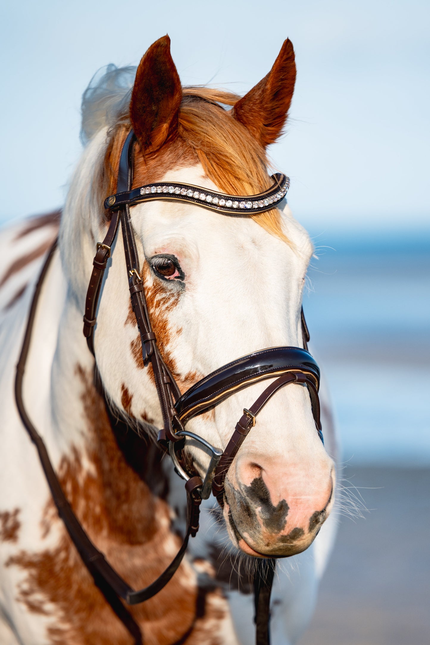BROWN PATENT LEATHER + GOLD Signature Bridle