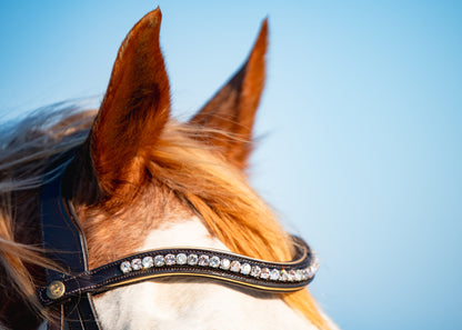BROWN PATENT LEATHER + GOLD Signature Bridle