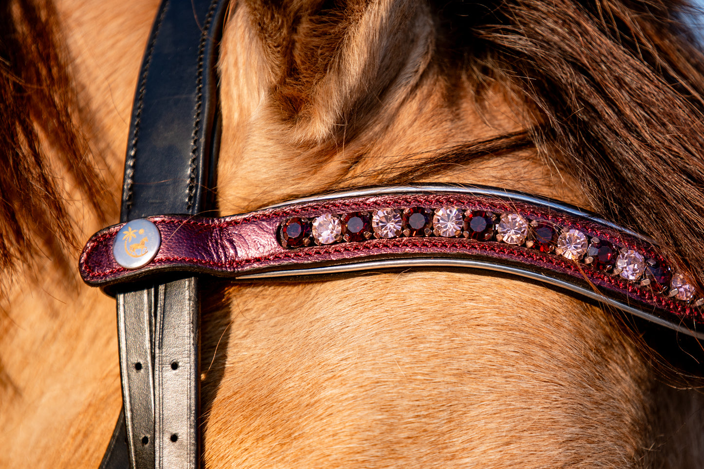 DESERT WILDFLOWERS Limited Collection Bridle