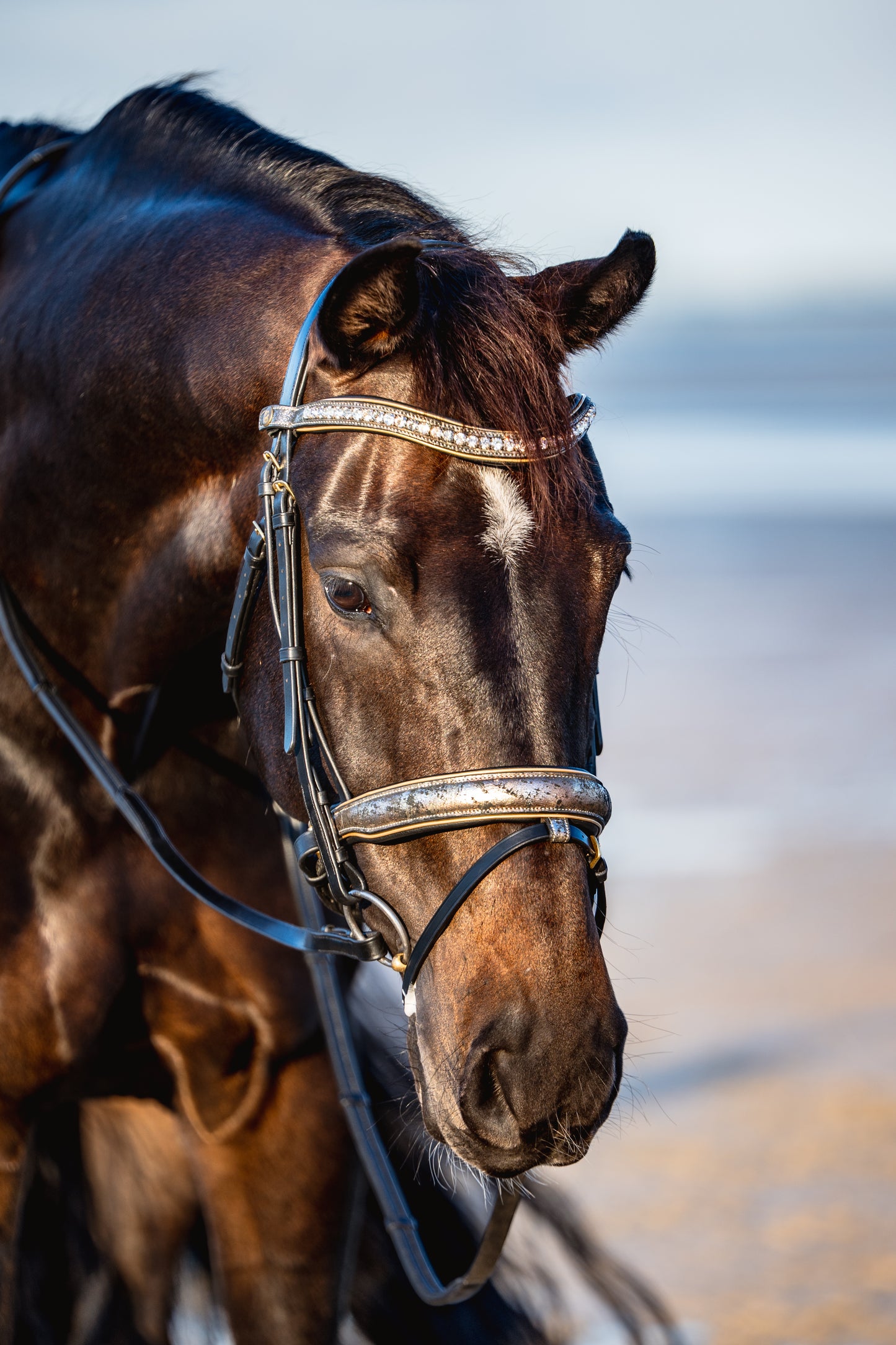 ANCIENT TREASURE Limited Collection Bridle - Black or Brown leather