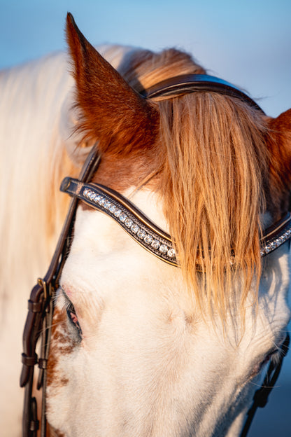 BRUSHED BRONZE Limited Collection Bridle