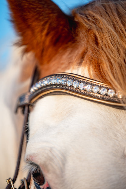 BRUSHED BRONZE Limited Collection Bridle