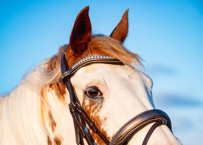 BRUSHED BRONZE Limited Collection Bridle
