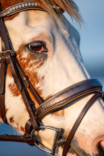 BRUSHED BRONZE Limited Collection Bridle